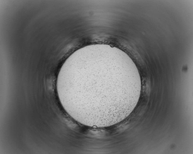 X0000100360712200807031838