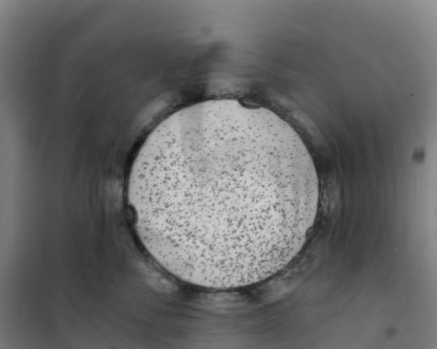 X0000100360716200807031838