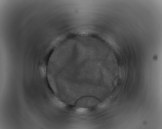 X0000100360718200807031838