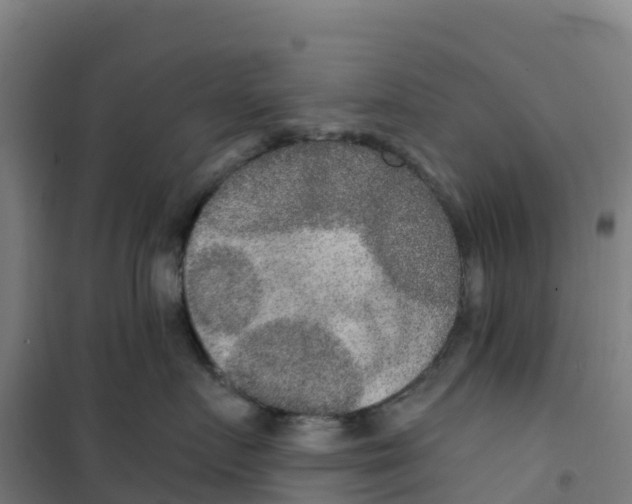 X0000100360719200807031838