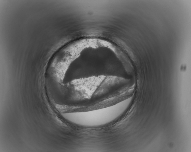 X0000100360721200807031837