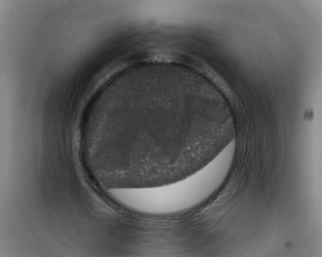 X0000100360722200807031837