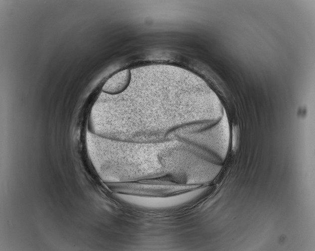 X0000100360723200807031837
