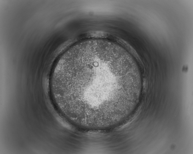 X0000100360725200807031837