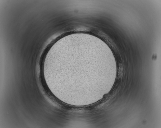 X0000100360726200807031837
