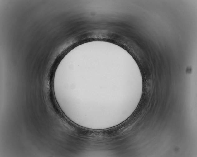 X0000100360727200807031837