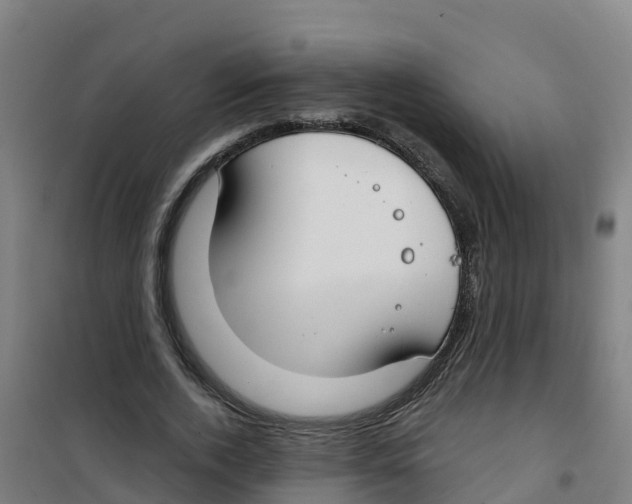 X0000100360728200807031837