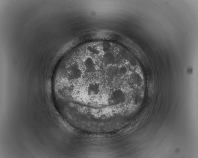 X0000100360729200807031837