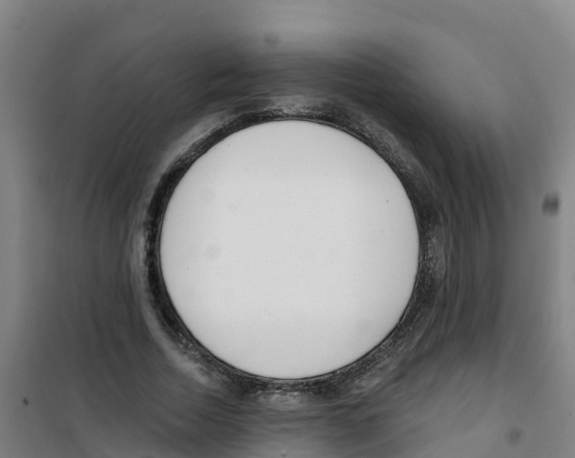 X0000100360730200807031837