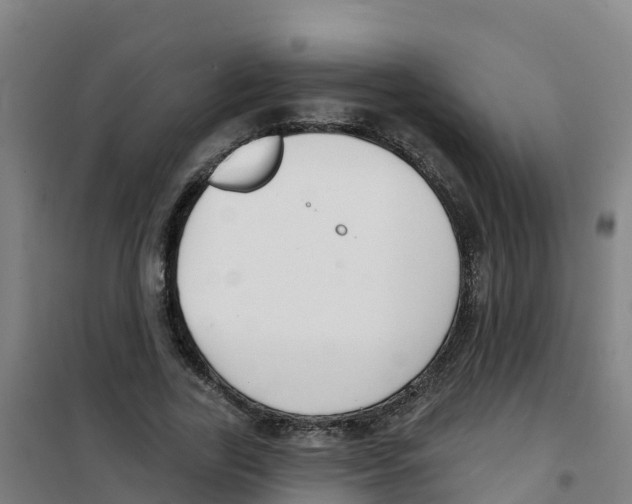 X0000100360731200807031837
