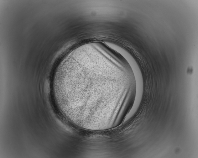 X0000100360734200807031837