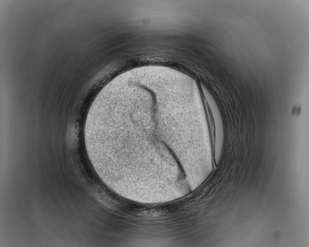 X0000100360735200807031837