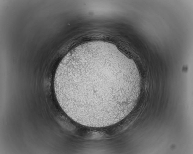 X0000100360737200807031837