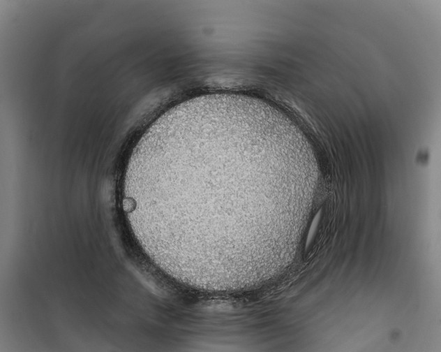 X0000100360738200807031837