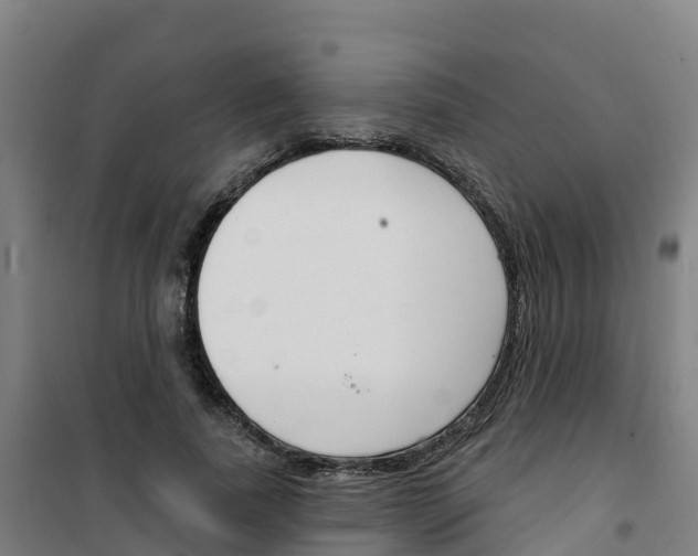 X0000100360739200807031837
