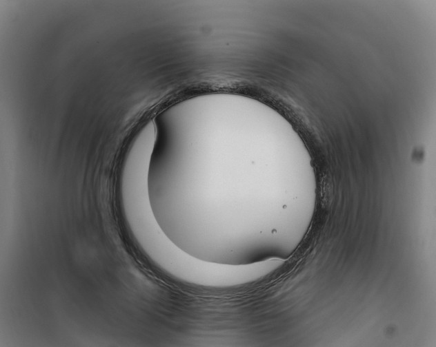 X0000100360740200807031837