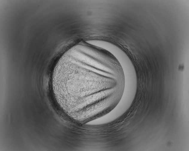 X0000100360742200807031837