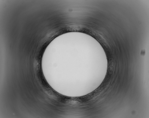 X0000100360743200807031837