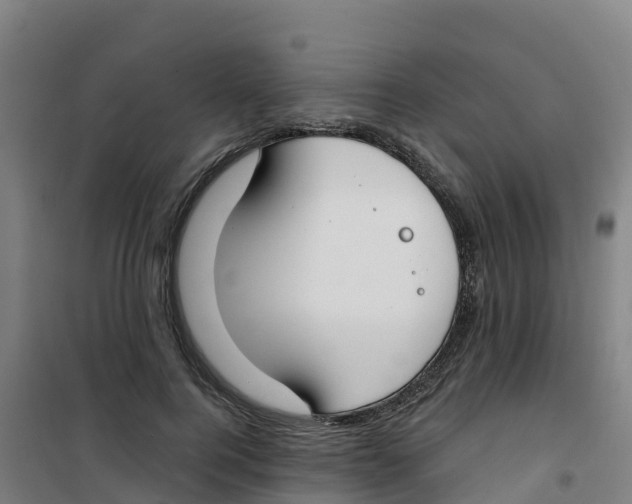 X0000100360744200807031837