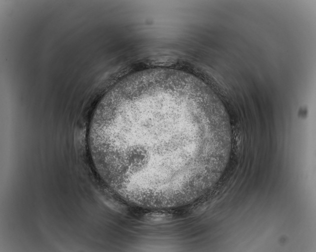 X0000100360745200807031837