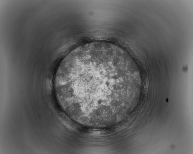 X0000100360746200807031837