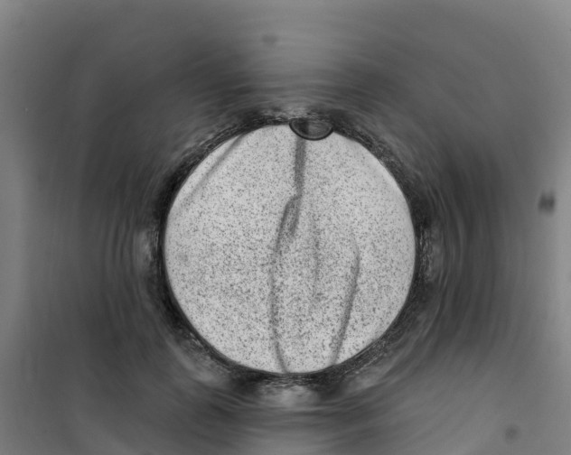 X0000100360747200807031837