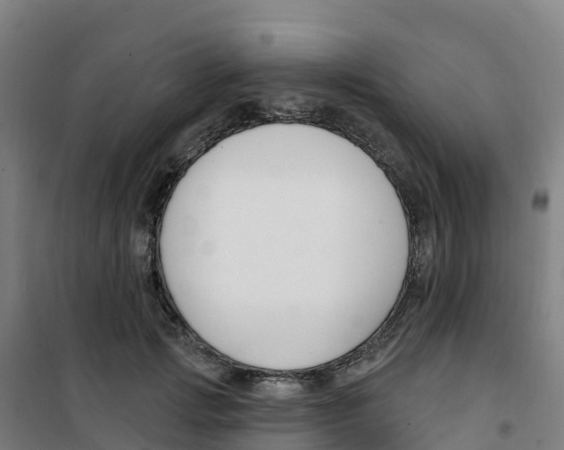 X0000100360749200807031837