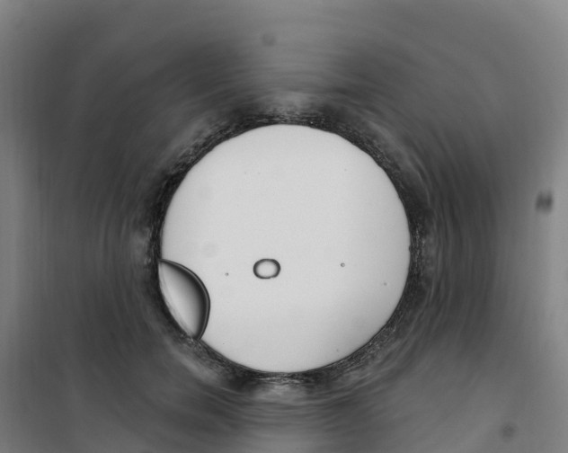 X0000100360750200807031837