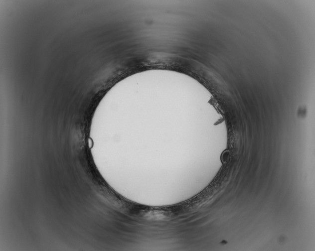 X0000100360751200807031837
