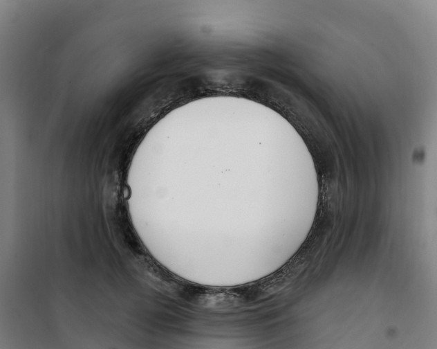 X0000100360752200807031837