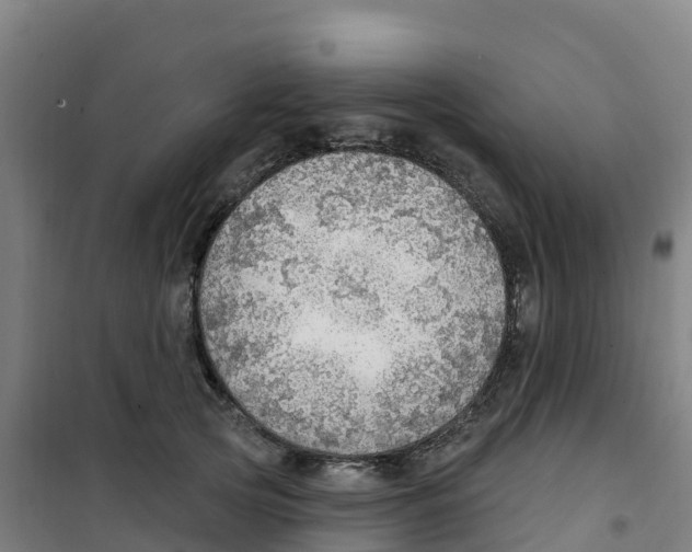 X0000100360753200807031837