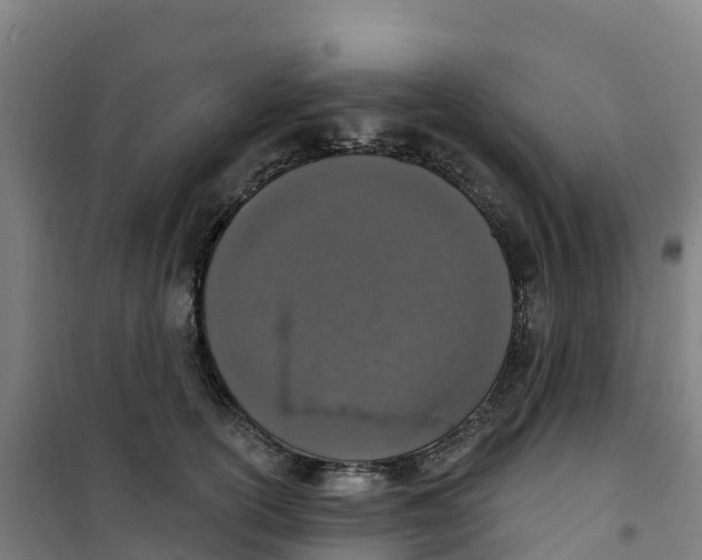 X0000100360754200807031837
