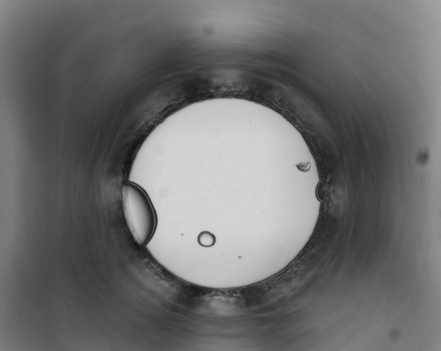 X0000100360756200807031837