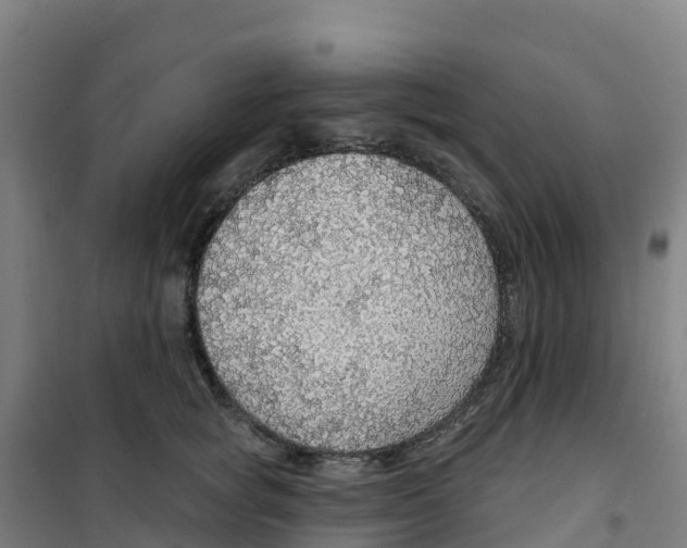 X0000100360757200807031837