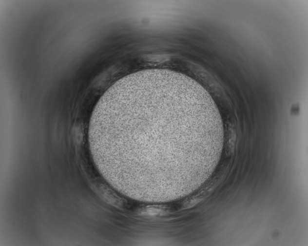 X0000100360758200807031837