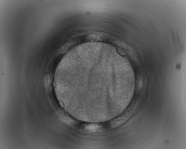 X0000100360759200807031837