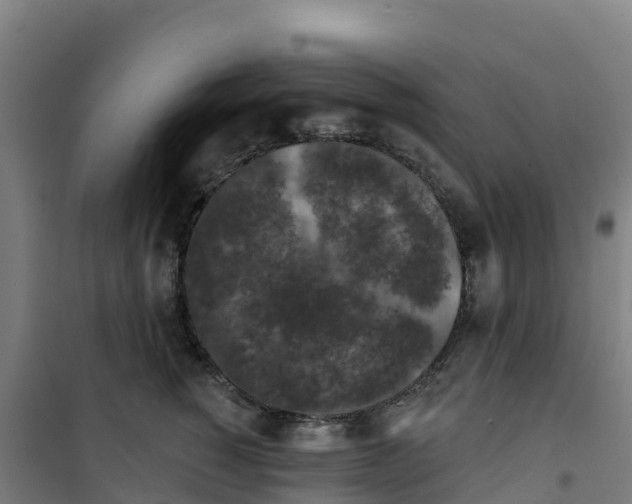 X0000100360760200807031837