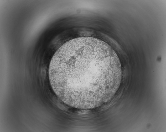 X0000100360761200807031837