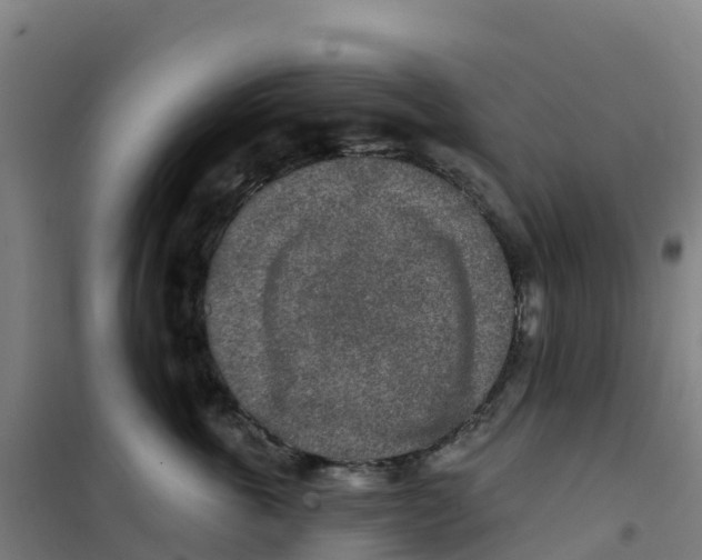 X0000100360763200807031838