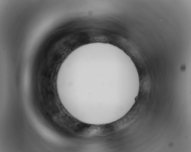 X0000100360764200807031838