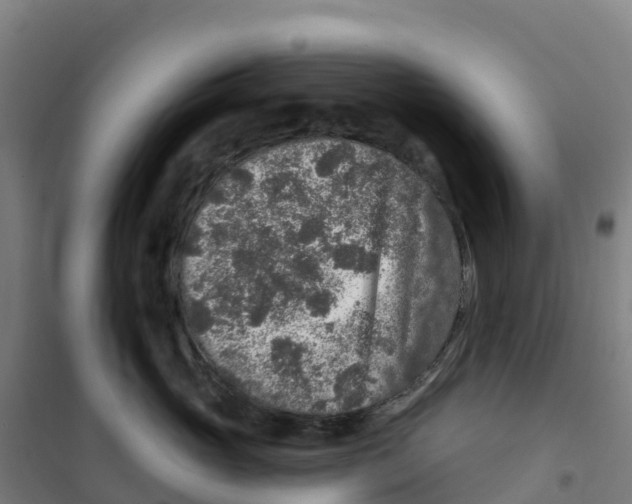 X0000100360765200807031838
