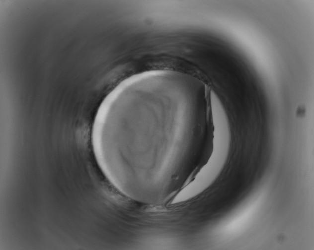 X0000100360767200807031838