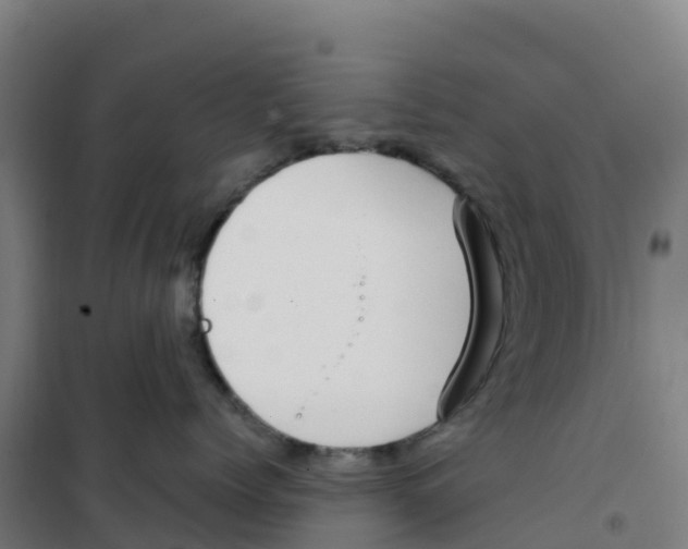 X0000100360768200807031838