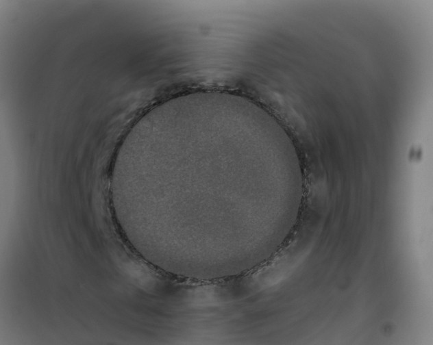 X0000100360769200807031837