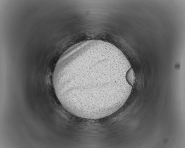 X0000100360770200807031837