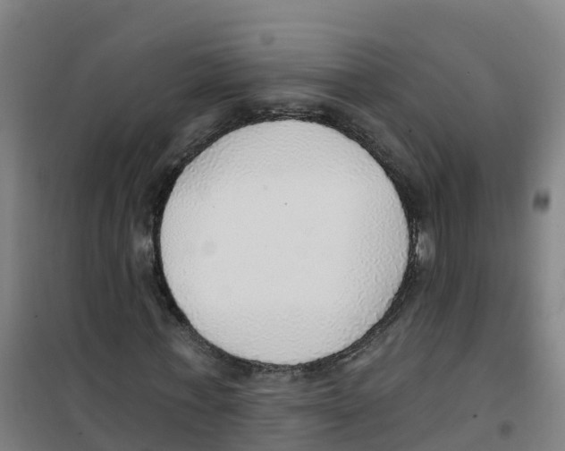 X0000100360771200807031837