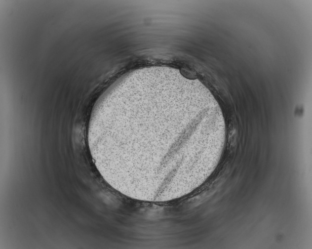X0000100360772200807031837