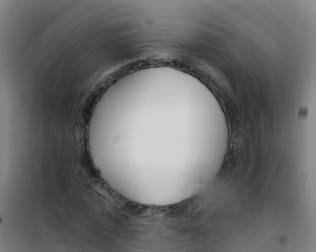 X0000100360773200807031837