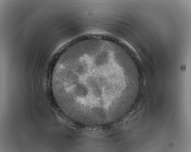 X0000100360775200807031837