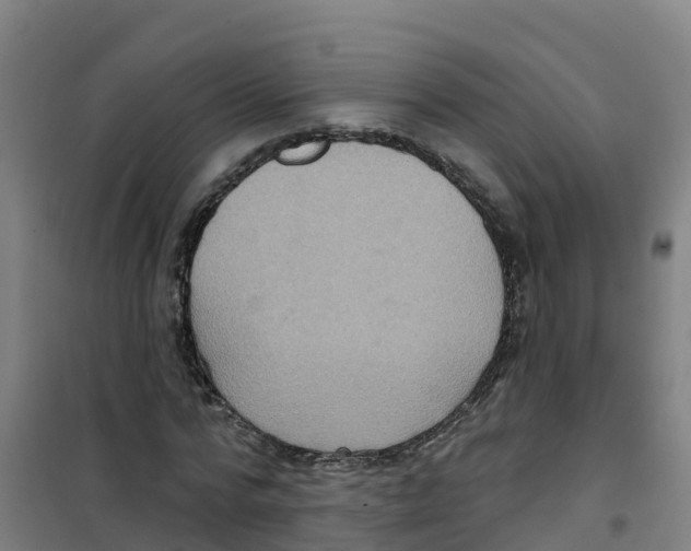 X0000100360776200807031837